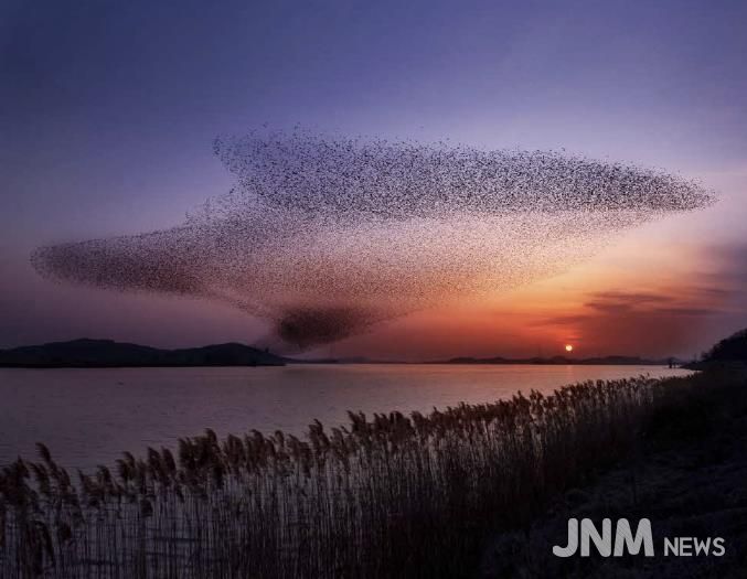 서천군, ‘2025 서천철새여행’ 29~30일 개최
