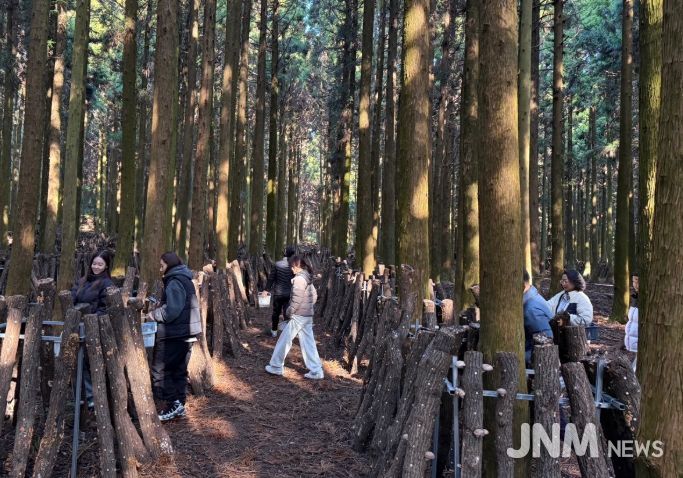‘버섯따기 체험 및 버섯장아찌 만들기’ 프로그램