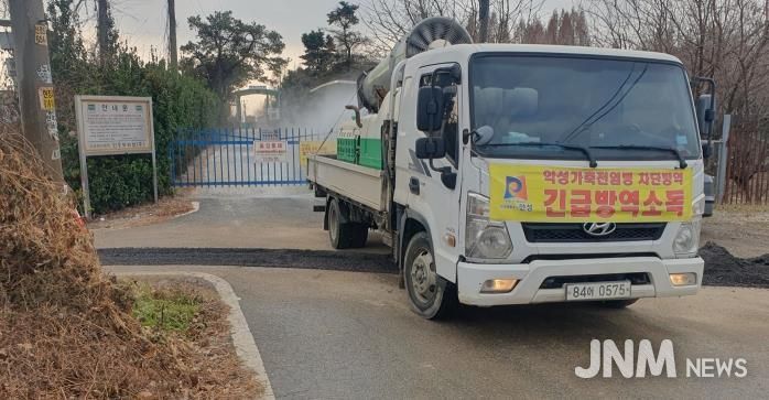 안성시 산란계농장 고병원성AI 의심축 발생