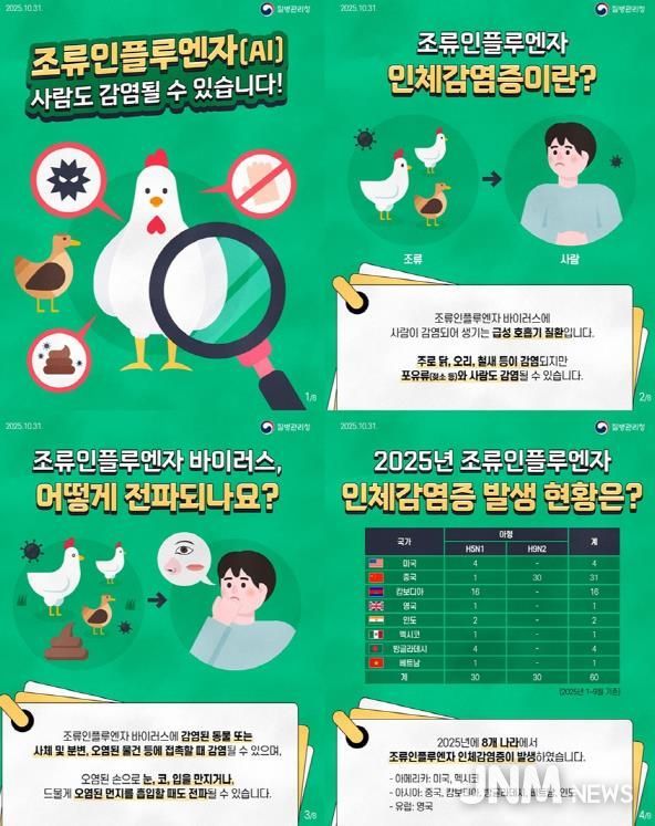 파주시, 조류인플루엔자 감염 예방을 위한 주의 당부