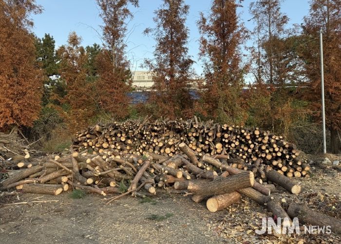 계양구, 겨울철 ‘사랑의 땔감 나눔’ 추진