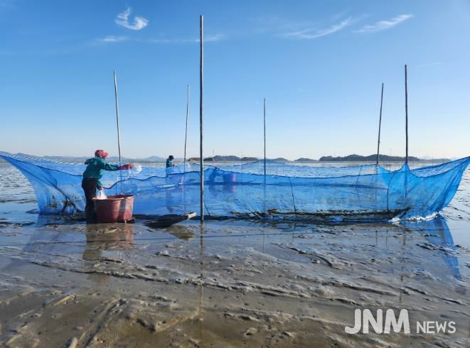 가리맛조개 종자, 살포 사진
