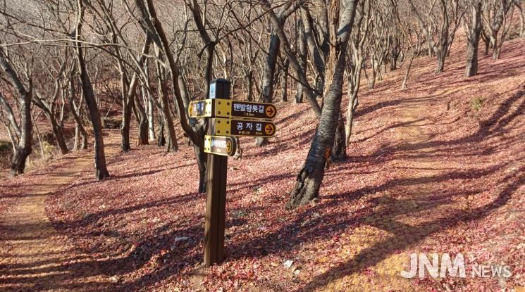사천시, 향교숲길 조성완료… 시민 휴식․체험공간 확충