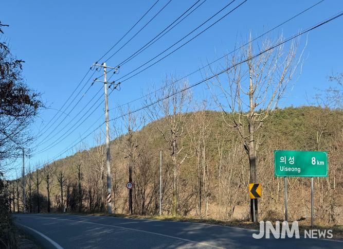 의성군, 주요 시가지 가로수 465본 가지치기 완료