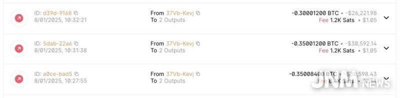 0.35 + 0.35 + 0.3 BTC 총 1비트코인을 출금해간 자료