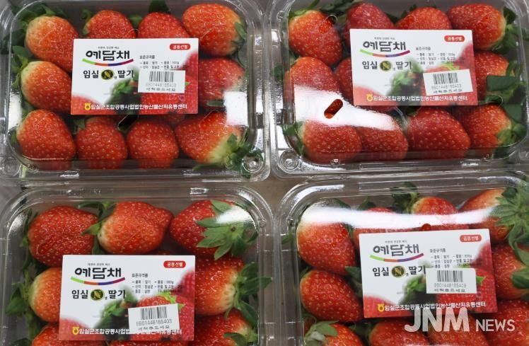 ‘당도 폭발, 지금 제철’임실N딸기, 전국 유통 본격 돌입