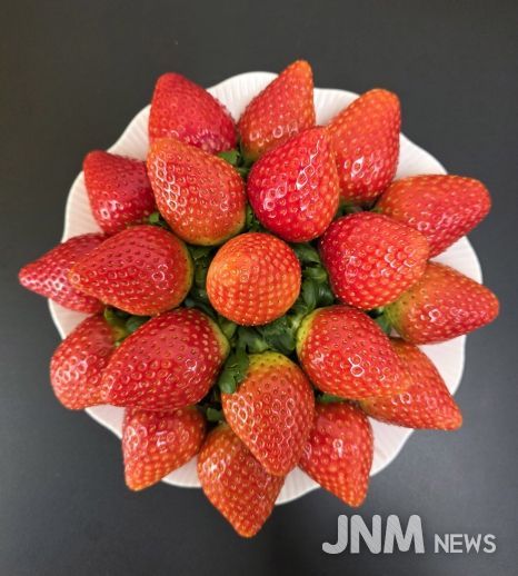 농기원, 신품종 미향 품종보호출원 완료