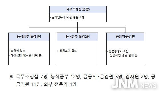 정부합동 특별감사반 구성 및 인원