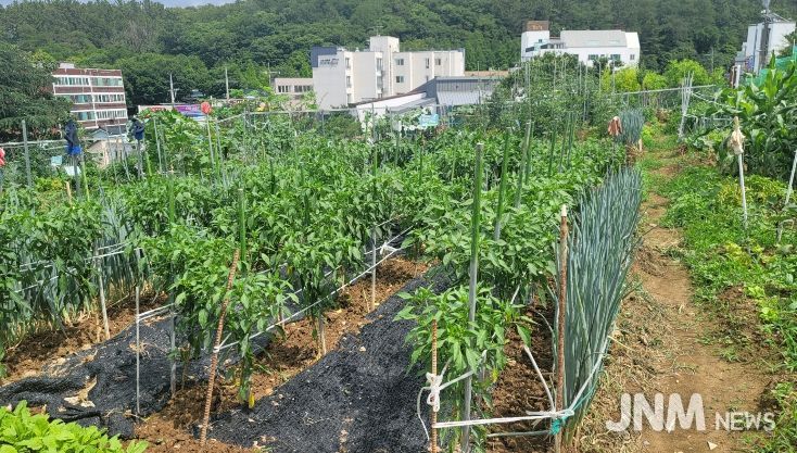 2026년도 대구 남구 공영텃밭 분양 신청 접수