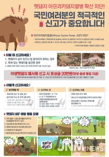 멧돼지 아프리카돼지열병 확산 차단 포스터