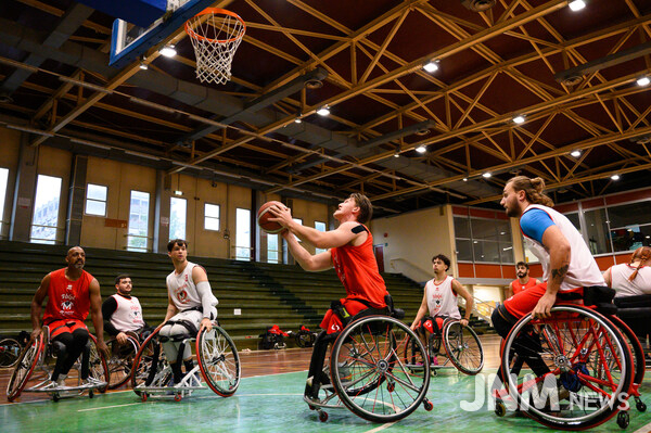 The Volpi Rosse Menarini