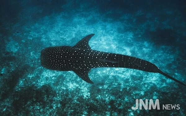 Photo: © Ishan @seefromthesky from Unsplash