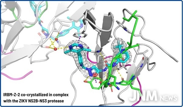 Visualization of how IRBM-Z-2 binds to a newly discovered pocket on the Zika virus protease, revealing key interactions that may help block the virus’s activity.